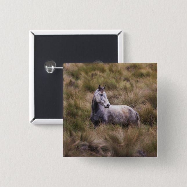 Schönes graues, farbiges Pferd Button (Vorne & Hinten)