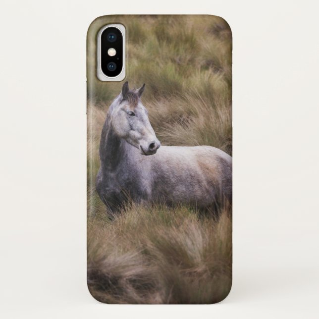 Schönes graues, farbiges Pferd Case-Mate iPhone Hülle (Rückseite)