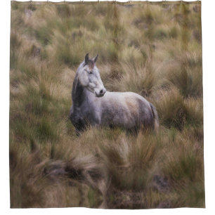 Schönes graues, farbiges Pferd Duschvorhang
