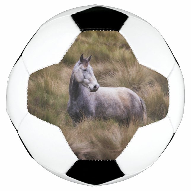 Schönes graues, farbiges Pferd Fußball (Vorderseite)