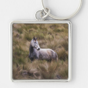 Schönes graues, farbiges Pferd Schlüsselanhänger