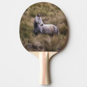 Schönes graues, farbiges Pferd Tischtennis Schläger
