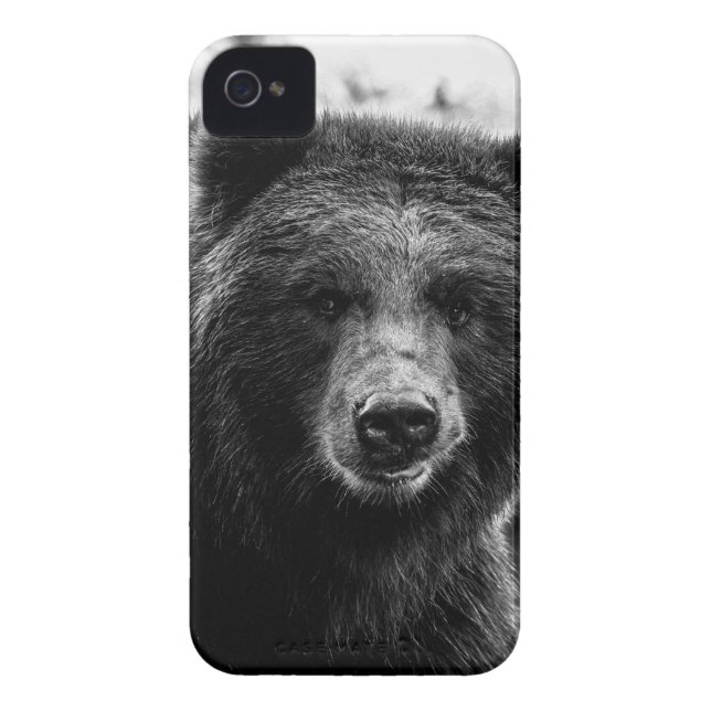 Schönes Grizzly-Bärn-Foto Case-Mate iPhone Hülle (Rückseite)