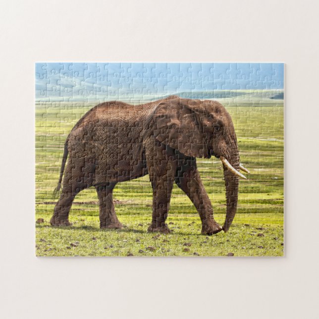 Schönes großes Elefant-Foto (Horizontal)