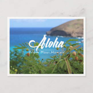 Schönes Grün und Blau aus Maui Hawaii Postkarte