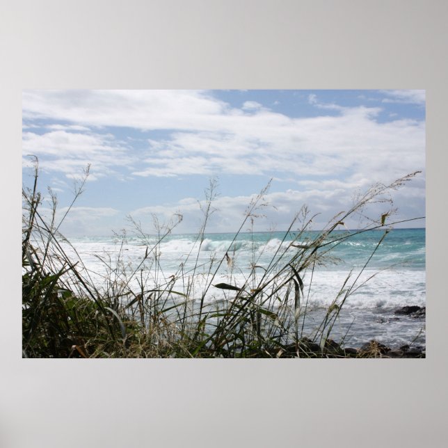 Schönes Hawaiian Ocean Poster (Vorne)