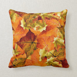 Schönes Herbstlaub-Kissen! Kissen