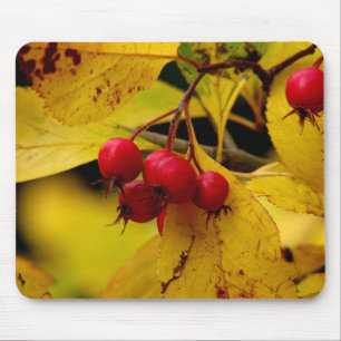 schönes Herbstmousepad Mousepad