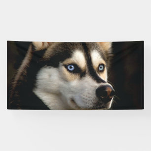 Schönes Husky Throw Kissen Banner