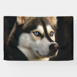 Schönes Husky Throw Kissen Banner
