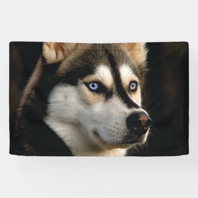 Schönes Husky Throw Kissen Banner (Horizontal)