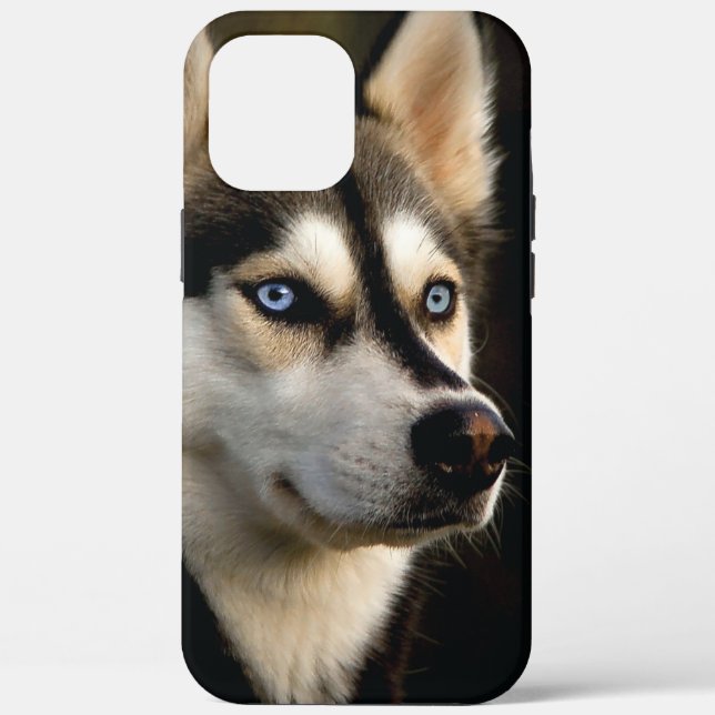 Schönes Husky Throw Kissen Case-Mate iPhone Hülle (Rückseite)