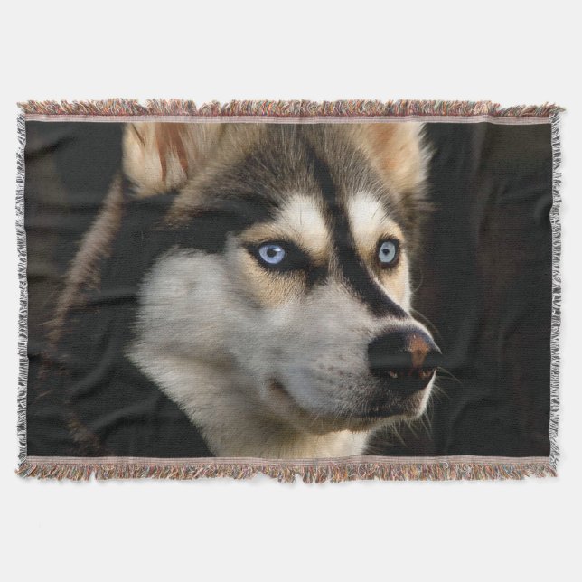 Schönes Husky Throw Kissen Decke (Vorderseite)