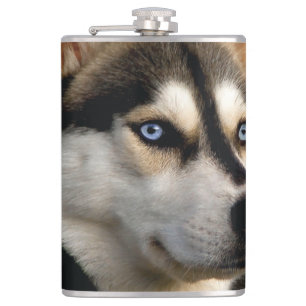 Schönes Husky Throw Kissen Flachmann