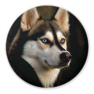 Schönes Husky Throw Kissen Keramikknauf