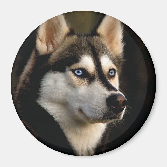 Schönes Husky Throw Kissen Magnet (Vorne)