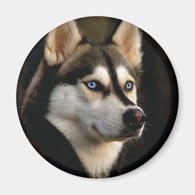 Schönes Husky Throw Kissen Magnet (Vorne)