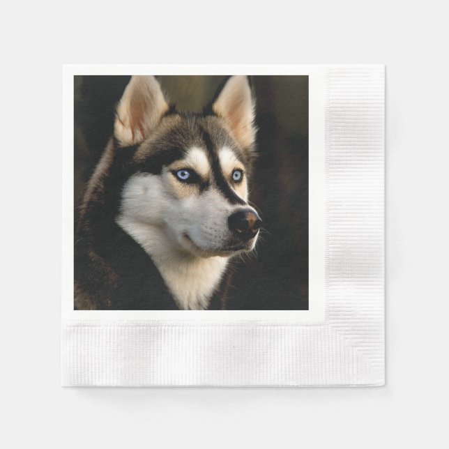 Schönes Husky Throw Kissen Serviette (Vorderseite)