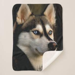 Schönes Husky Throw Kissen Sherpadecke