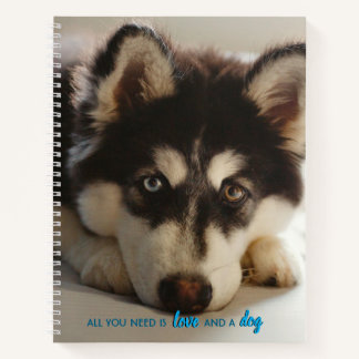 Schönes Husky-Welpen-Notebook, in voller Größe Notizbuch