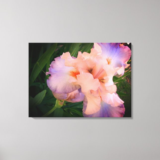 Schönes Iris auf Leinwand (Vorderseite)