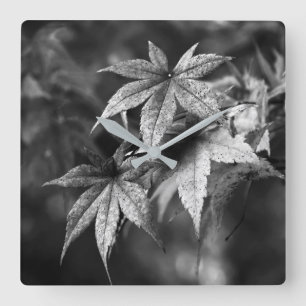 Schönes japanisches Ahornleaf-Portrait in B/W Quadratische Wanduhr