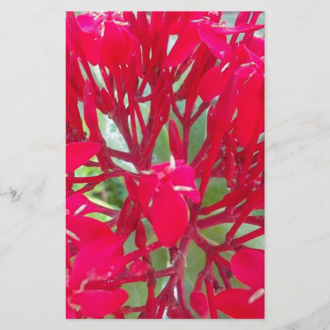 Schönes Kaleidoskop mit farbenfroher Rotmilch Briefpapier (Vorderseite)