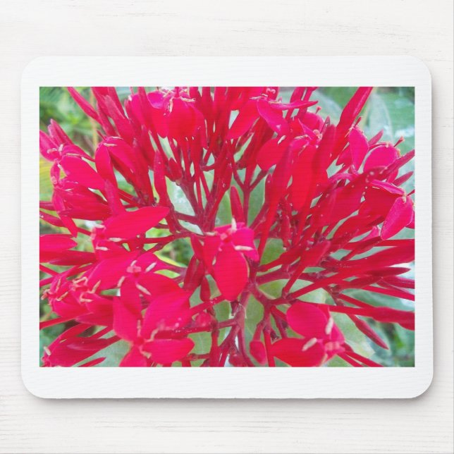 Schönes Kaleidoskop mit farbenfroher Rotmilch Mousepad (Vorne)