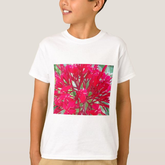 Schönes Kaleidoskop mit farbenfroher Rotmilch T-Shirt (Vorderseite)