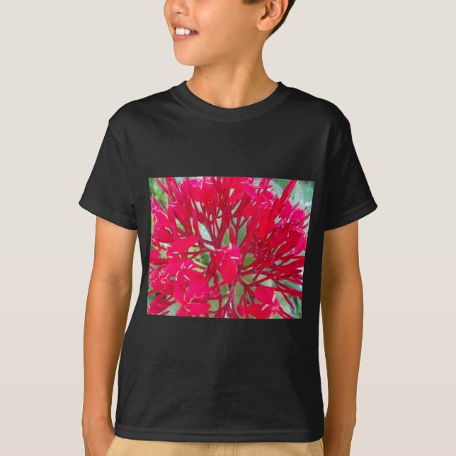Schönes Kaleidoskop mit farbenfroher Rotmilch T-Shirt (Vorderseite)