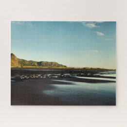 Schönes Karekare Beach Shore Foto