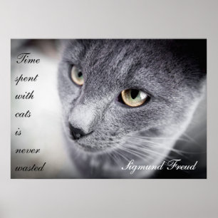 Schönes Katzenzitatplakat - motivierend Poster
