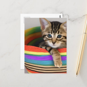 Schönes Kitten in einem farbenfrohen Korb Postkarte