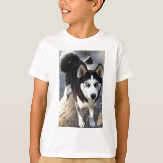 Schönes kleines Blizzy! T-Shirt