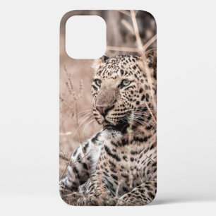 Schönes Kunstbild Großer Wildleopard oder -panthe Case-Mate iPhone Hülle