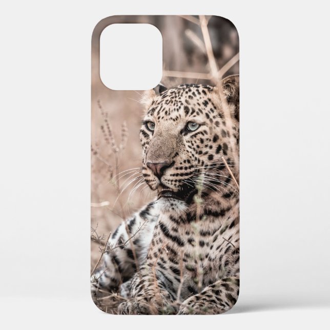 Schönes Kunstbild Großer Wildleopard oder -panthe Case-Mate iPhone Hülle (Rückseite)