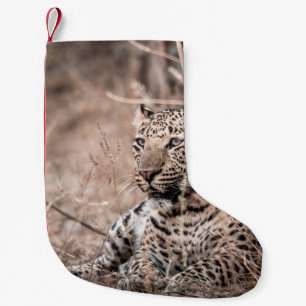 Schönes Kunstbild Großer Wildleopard oder -panthe Kleiner Weihnachtsstrumpf