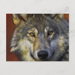 Schönes, künstlerisches Grauwolf-Portrait Postkarte