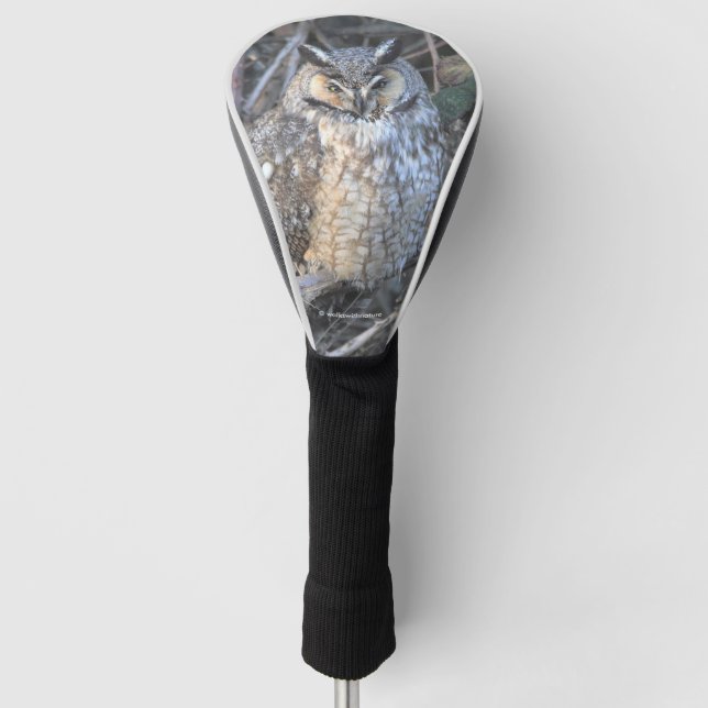 Schönes, langgezogenes Schüssel bei Sonnenuntergan Golf Headcover (Vorderseite)