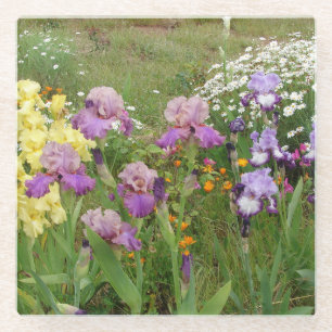 Schönes Lila Iris Blume Blumenstrauß Foto Glasuntersetzer
