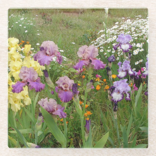 Schönes Lila Iris Blume Blumenstrauß Foto Glasuntersetzer (Vorderseite)
