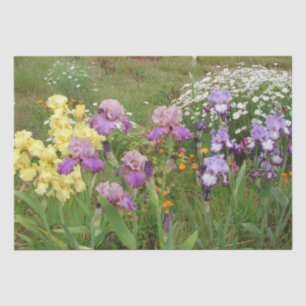 Schönes Lila Iris Blume Blumenstrauß Foto Seidenpapier