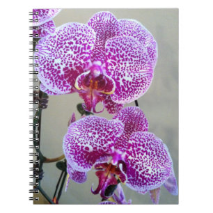 Schönes Lila Nah-Up-Foto mit weißem Orchid Notizblock