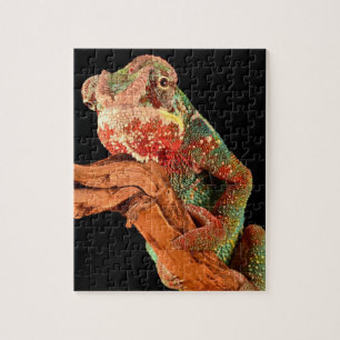 Schönes Lizard Chameleon Puzzle