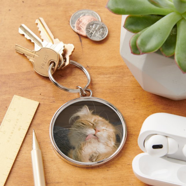 Schönes Maine Coon Cat Nah-Up Foto Schlüsselanhänger (Schreibtisch)