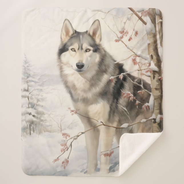 Schönes Malamute Sherpadecke (Vorderseite)