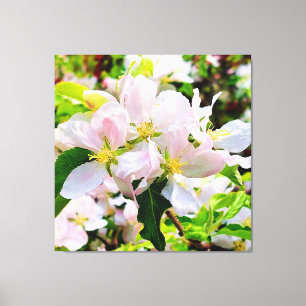 Schönes Malus asiatica Foto Leinwanddruck