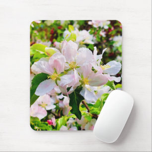 Schönes Malus asiatica Foto Mousepad
