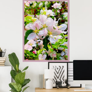 Schönes Malus asiatica Foto Poster