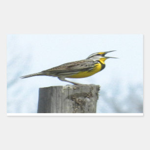 Schönes meadowlark mit den gelben und grauen rechteckiger aufkleber